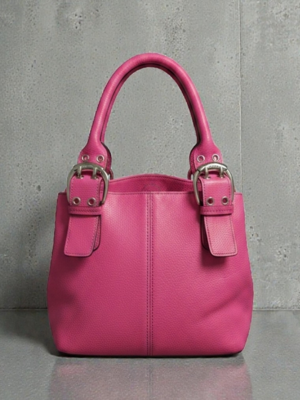 Tignanello The Pefect 10 Tote Satchel